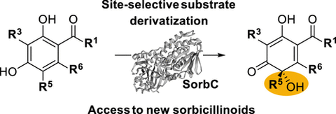 SorbC_ACSCatal_2022