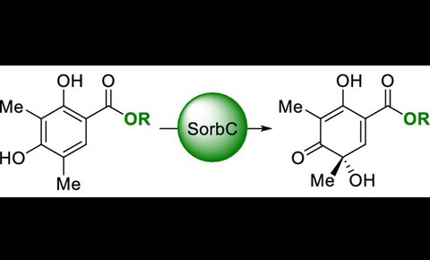 GraphicalAbstractOL2019SorbC