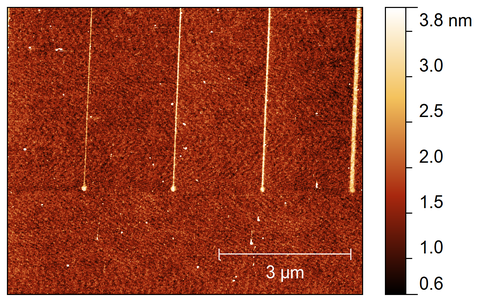 AFM Aufnahme