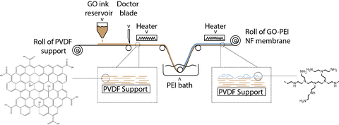 Figure 2_xxx