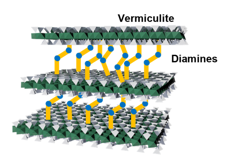 Figure 3_xxx