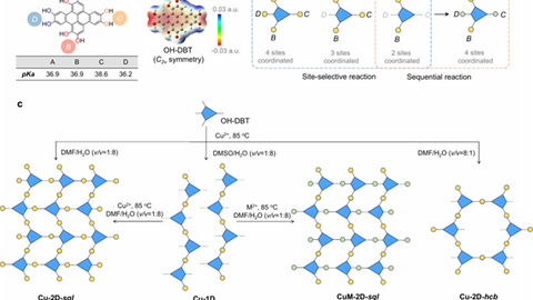 NatureChem_SEPT_2026