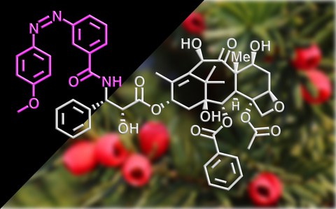 2020 Müller-Deku Azo-Taxol  Tubulin Photoswitches