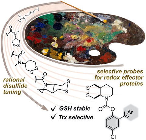 2021 Felber Dithiane Redox Probes