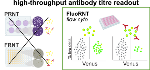 2022 Scheck FluoRNT Yellow Fever Assay