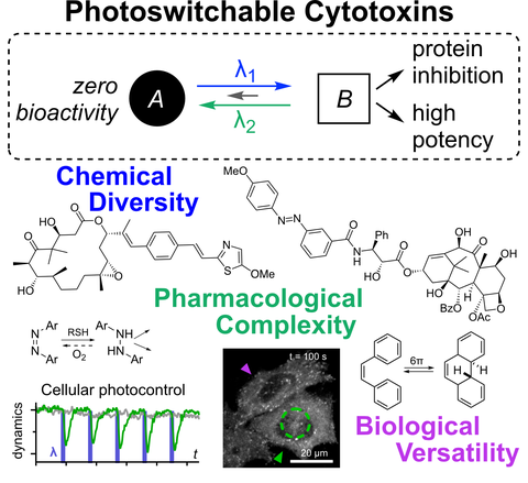 2022 Thorn-Seshold Chemical Design of Photoswitchable Cytotoxins