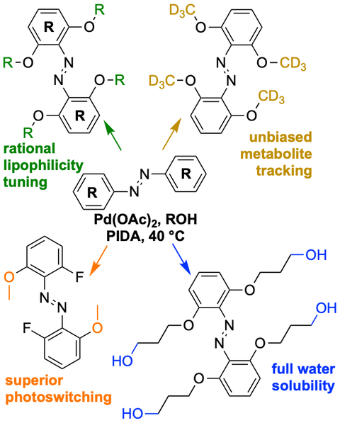 2022 Müller-Deku Catalytic Per-Alkoxylation of Azobenzenes