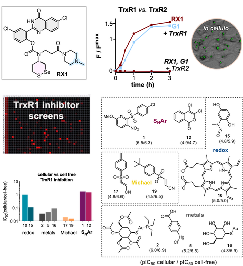 2022 Zeisel Thioredoxin Reductase Probe RX1