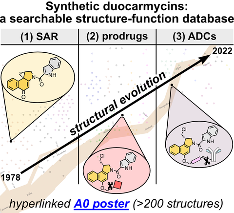 2022 Felber Duocarmycin Structure-Function Relationships