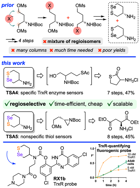 2023 Zeisel RSeSR' Synthesis