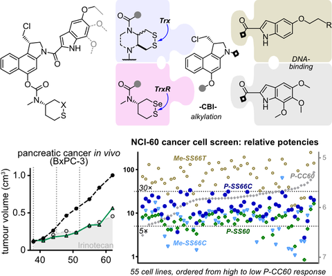 2023 Felber Duocarmycin Bioreduction Prodrugs