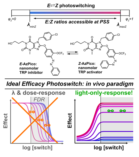 2024 Müller Ideal Efficacy Photoswitch Reagents