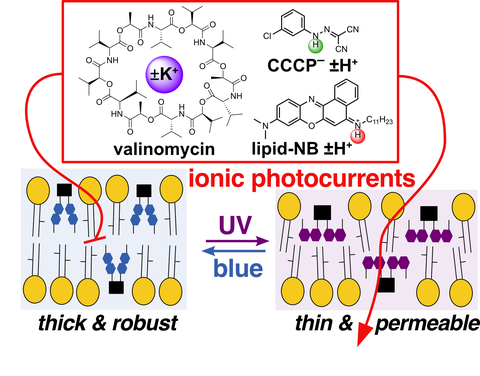 hybrid technique for generating photocurrents 