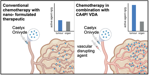 VDA Enhanced Nanoparticle Delivery