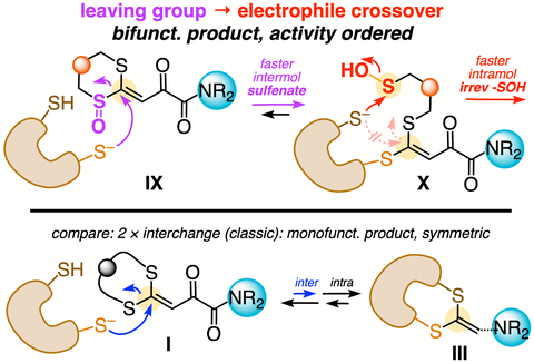 selective electrophilic labelling of vicinal dithiol proteins