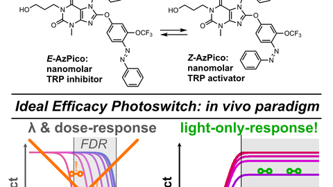 Efficacy Switch