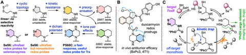 Redox Graphical Abstract