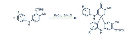 Schema Eisenkatalysierte Acridinsynthese