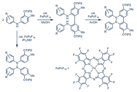 Schema Eisenkatalysierte Synthese