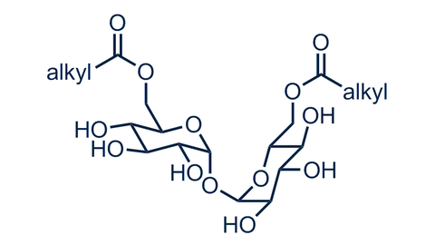 Maradolipide