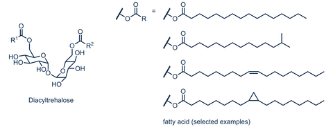 Maradolipids