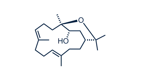 Isodecaryol