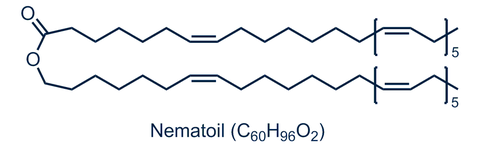 Nematoil