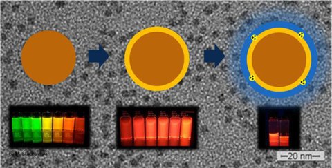 Schematische Dartstellung der Synthesestufen von CdSe über CdSe/CdS bis CdSe/CdS/65ZnS mit entsprechenden Photographien der kolloidalen Quantenpunktlösungen