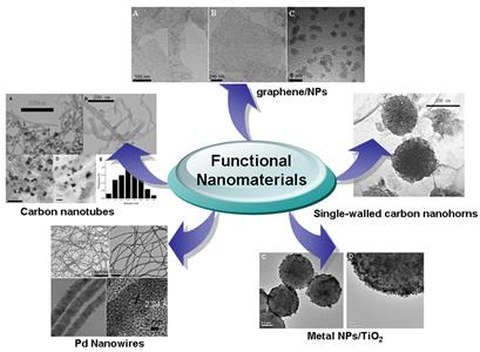 Herstellung von funktionellen Nanomaterialien und ihre Anwendung in Biosensorik und Biobrennstoffzellen 
