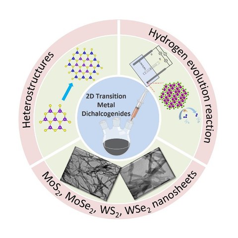 Transition metal dichalcogenides