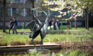 Frühlingsfoto in Dresden: Im Wasser stehende Statue von zwei Vögeln , im verschwommenen Hintergrund sind gehende Menschen zu sehen 