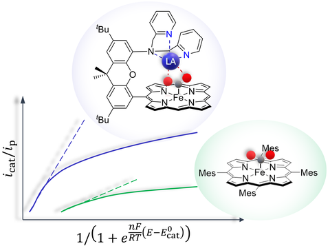 Iron Porphyrin Complex