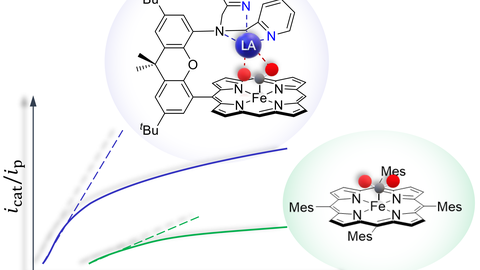 Iron Porphyrin Complex