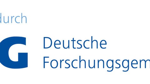 DFG Schriftzug Foerderung