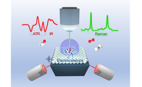 Vibrational Spectroelectrochemistry