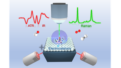 Vibrational Spectroelectrochemistry