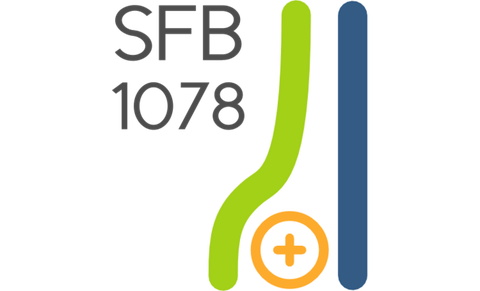 SFB1078