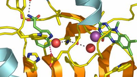 Forschung in der Chemie