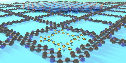 2D polyaniline crystal with unique metallic out-of-plane conductivity