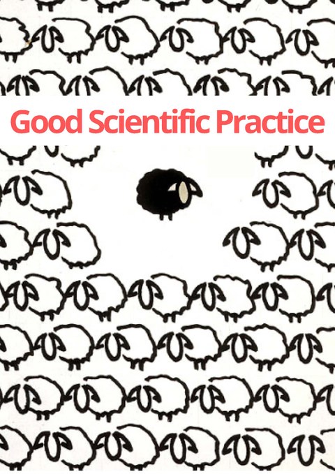 Workshop "Good Scientific Practice"