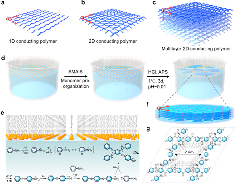 Schematic of the on-water surface synthesis procedure for 2DPANI