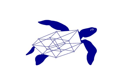 vierdimensionale Schildkröte als Logo des Ostsächsischen Mathematik-Informatik-Camps
