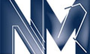 Logo des Institutes für Numerische Mathematik