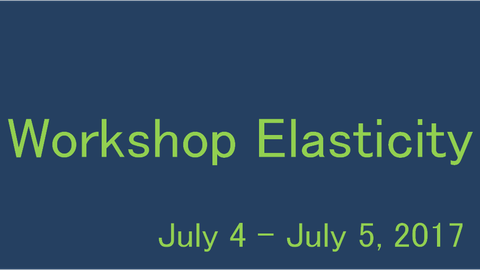 Workshop Elasticity