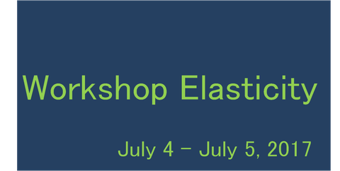 Workshop Elasticity