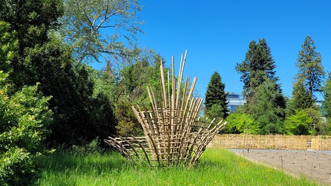Ein Foto von der Fleur-de-Mathematik, einer Konstruktion aus Bambusstangen in Form einer Blüte