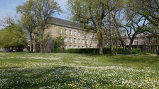 Bild vom Willersbau-Innenhof