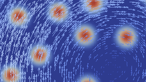 Colloidal particles immersed in a fluid interacting with the fluid and with each other.