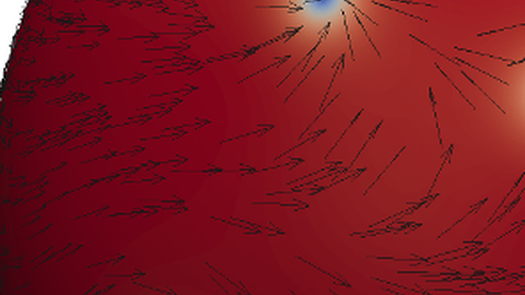 Defects in a polar liquid crystal film on a sphere. Colors indicate a polar order.