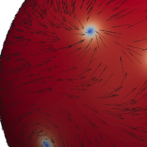 Defects in a polar liquid crystal film on a sphere. Colors indicate a polar order.